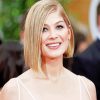 Actress Rosamund Pike Diamond Painting