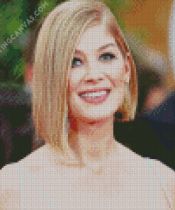 Actress Rosamund Pike Diamond Painting