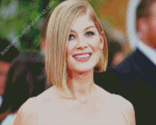 Actress Rosamund Pike Diamond Painting