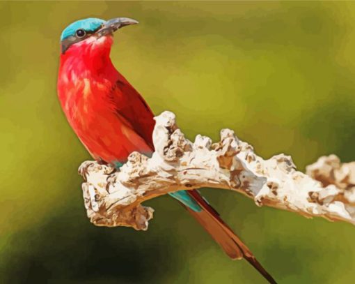 Beautiful Southern Carmine Bee Eater Diamond Painting