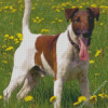 Fox Terrier With Yellow Flowers Diamond Painting