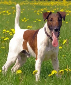 Fox Terrier With Yellow Flowers Diamond Painting