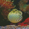 Puffer Fish Underwater Diamond Painting