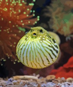 Puffer Fish Underwater Diamond Painting