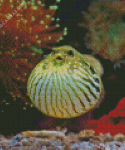 Puffer Fish Underwater Diamond Painting