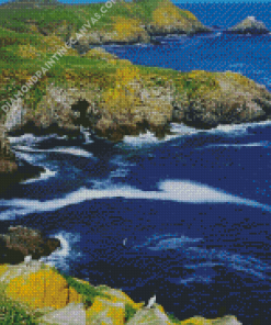 Saltee Islands Diamond Painting