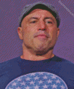 Aesthetic Joe Rogan Diamond Painting