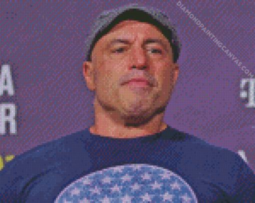 Aesthetic Joe Rogan Diamond Painting