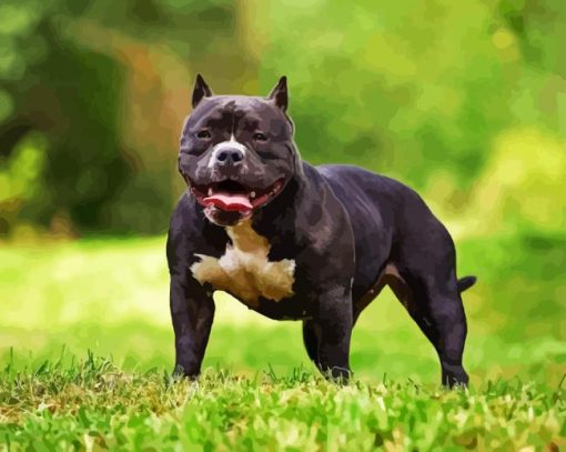 Black American Bully Diamond Painting