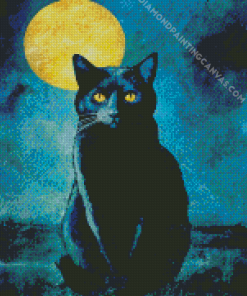 Black Cat And Moon Diamond Painting