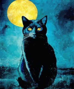 Black Cat And Moon Diamond Painting