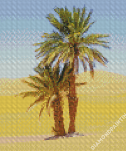 Sahara Palm Tree Diamond Painting