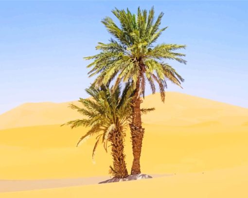 Sahara Palm Tree Diamond Painting