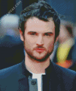 The Actor Tom Sturridge Diamond Painting