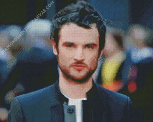 The Actor Tom Sturridge Diamond Painting