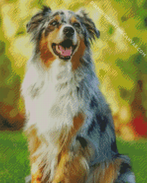 Aesthetic Australian Shepherd Dog Diamond Painting