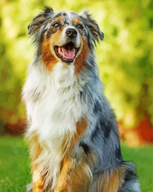 Aesthetic Australian Shepherd Dog Diamond Painting