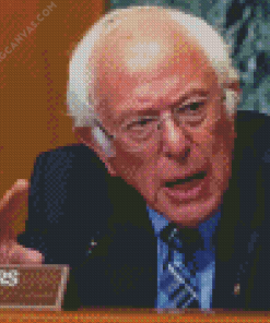 Bernie Sanders Chairman Diamond Painting