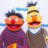 Bert And Ernie Diamond Painting