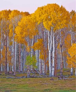 Birch Trees Diamond Painting