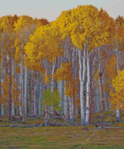 Birch Trees Diamond Painting