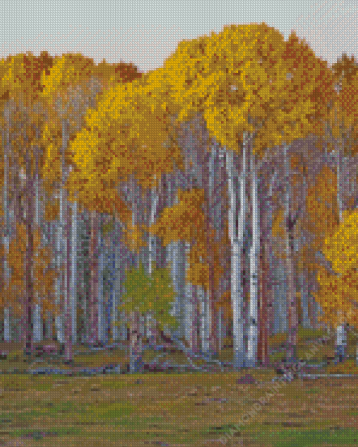 Birch Trees Diamond Painting