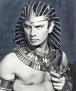 Black And White Yul Brynner Diamond Painting