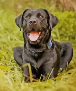 Black Lab Diamond Painting