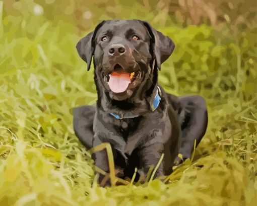 Black Lab Diamond Painting