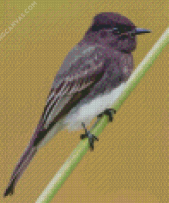 Black Phoebe On Stick Diamond Painting