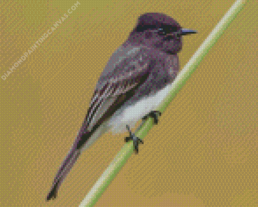 Black Phoebe On Stick Diamond Painting