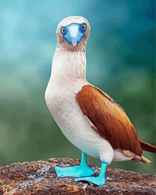 Blue Footed Booby Bird Diamond Painting