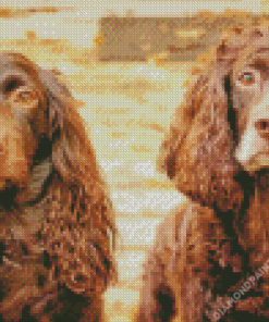 Boykin Spaniel Puppies Diamond Painting