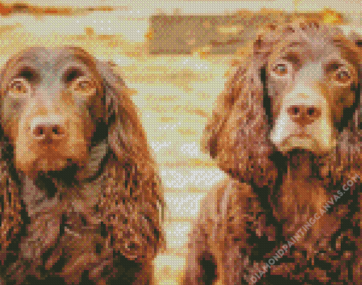 Boykin Spaniel Puppies Diamond Painting