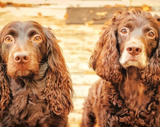 Boykin Spaniel Puppies Diamond Painting