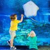 Children Watching Sea Life Diamond Painting