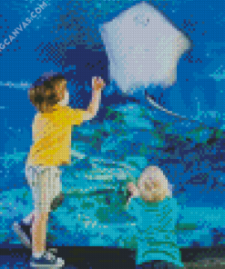 Children Watching Sea Life Diamond Painting