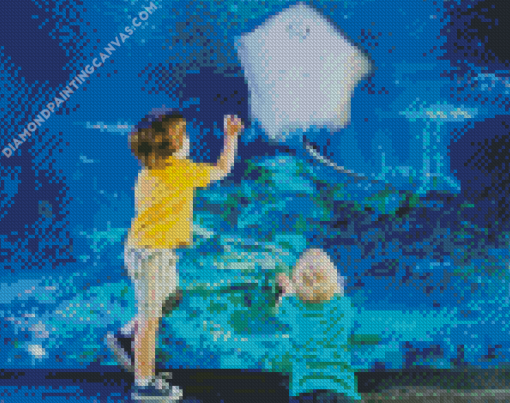 Children Watching Sea Life Diamond Painting