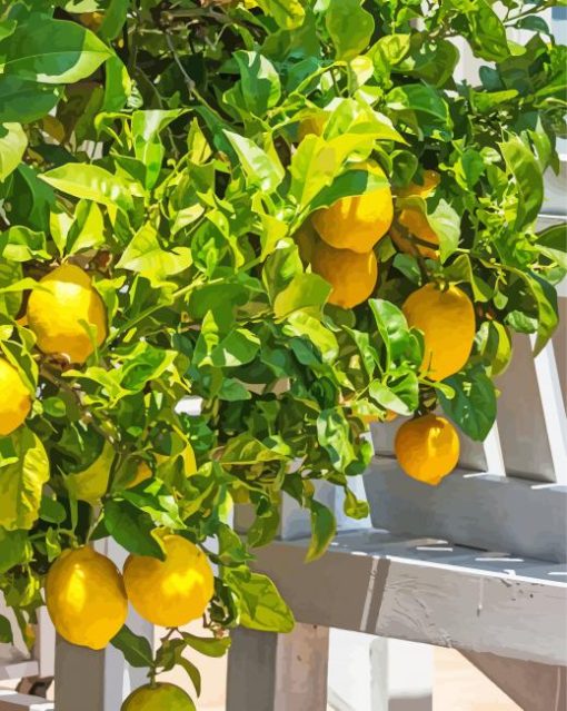 Citrus Lemon Tree Diamond Painting