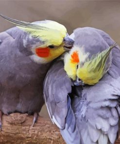 Cockatiels Couple Diamond Painting