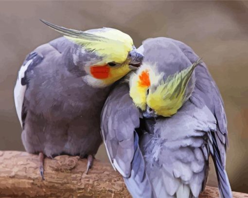 Cockatiels Couple Diamond Painting