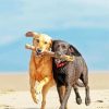 Dogs Playing On Beach Diamond Painting