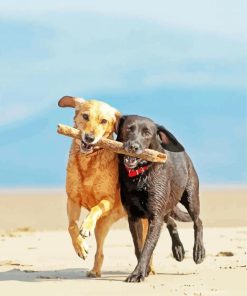 Dogs Playing On Beach Diamond Painting