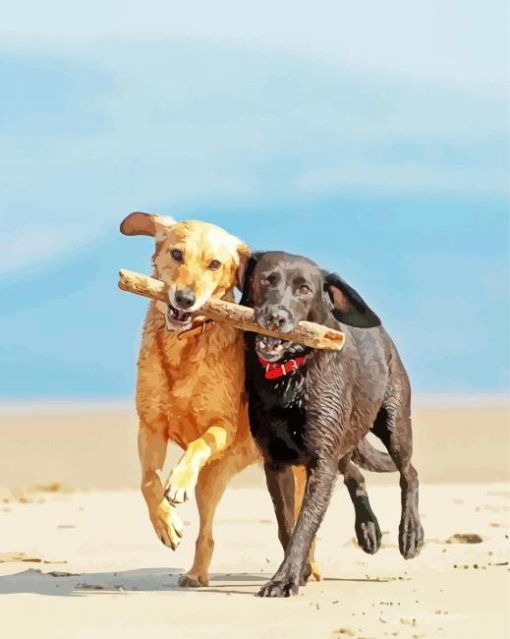 Dogs Playing On Beach Diamond Painting