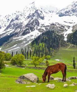 Kashmir Diamond Painting