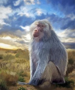 Lonely Baboon Diamond Painting