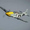 Mustang P51 Plane Diamond Painting