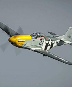 Mustang P51 Plane Diamond Painting