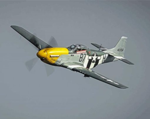 Mustang P51 Plane Diamond Painting