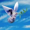 Peace Dove Flying Diamond Painting